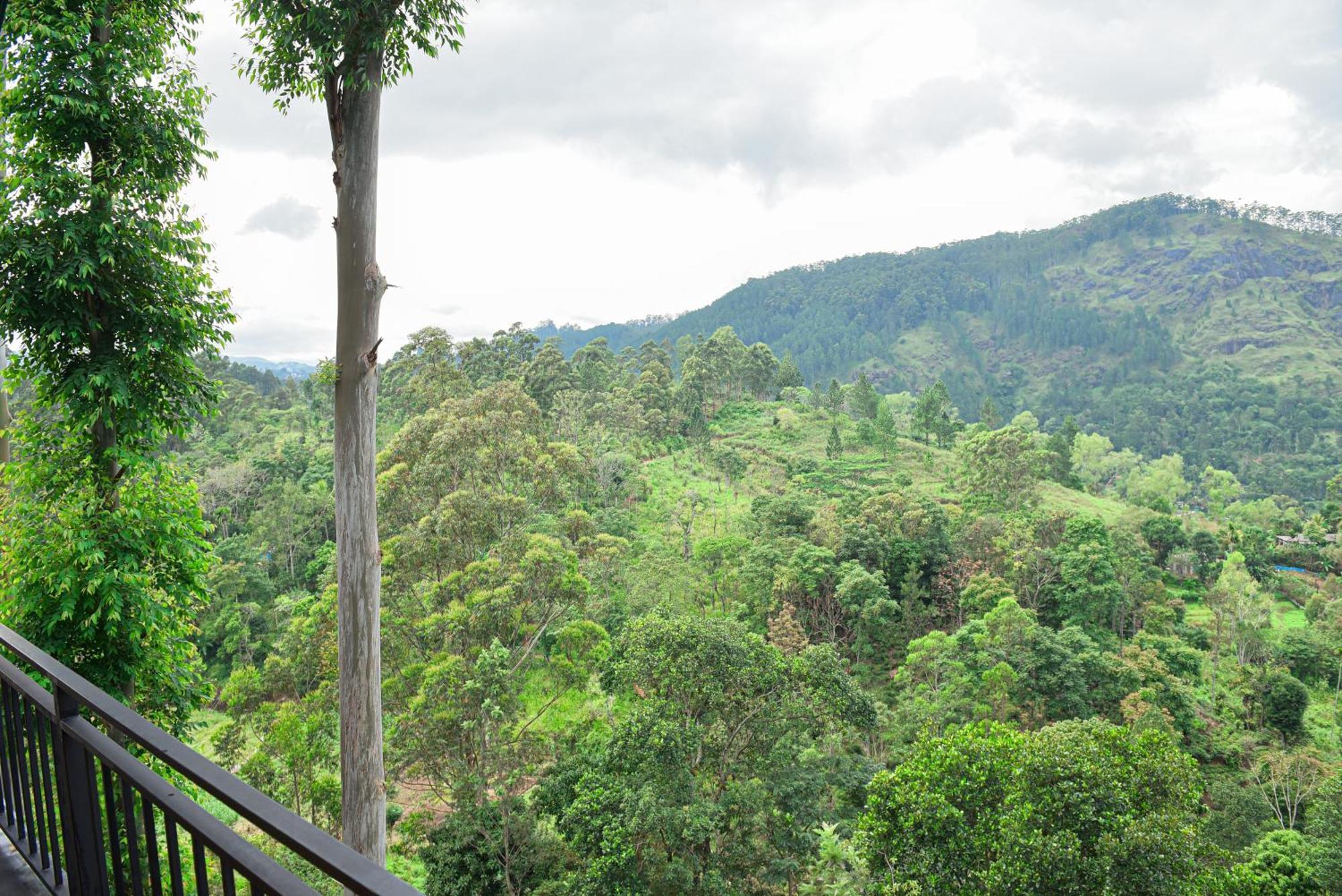 Tea Hills Ella Hotel ภายนอก รูปภาพ
