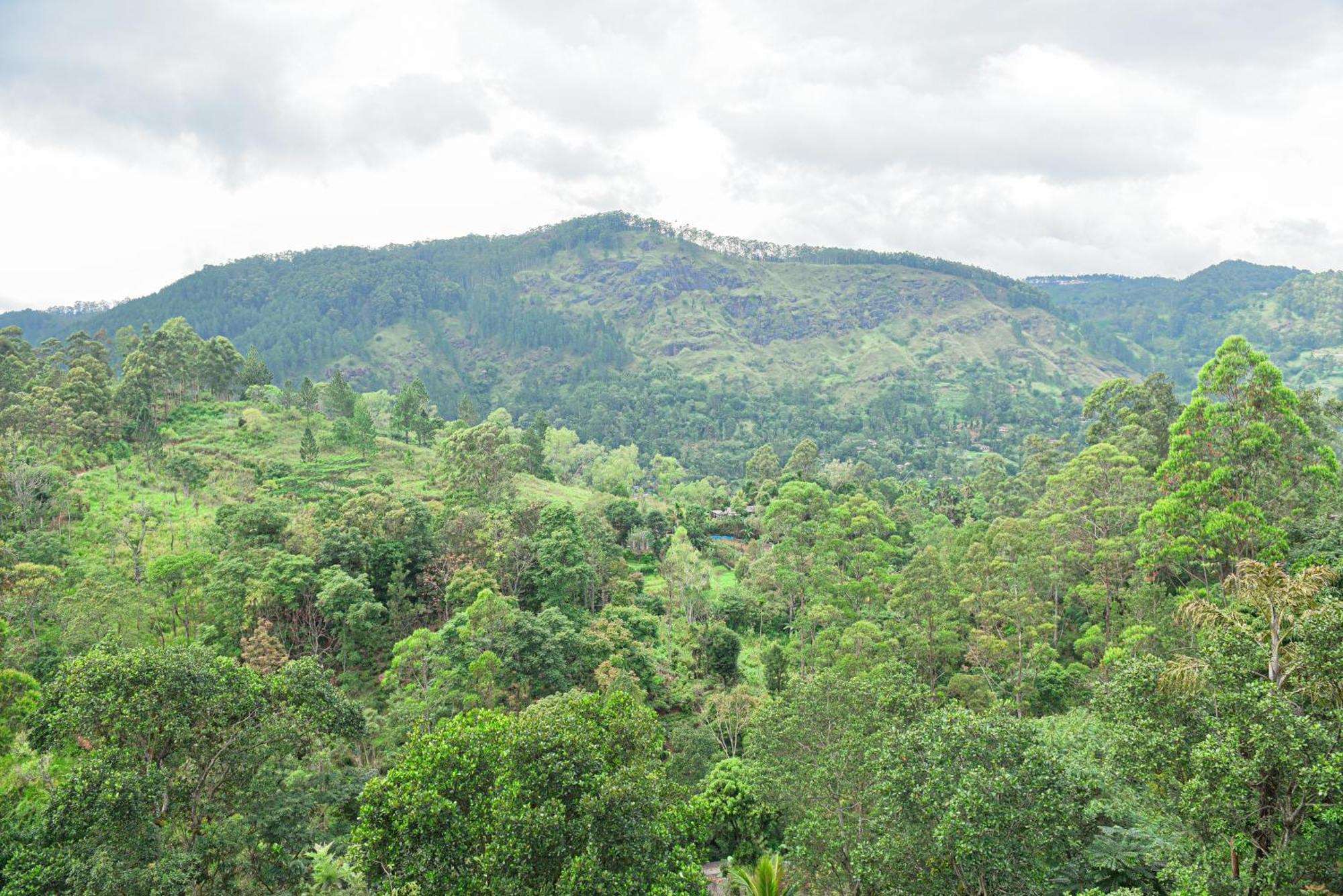 Tea Hills Ella Hotel ภายนอก รูปภาพ