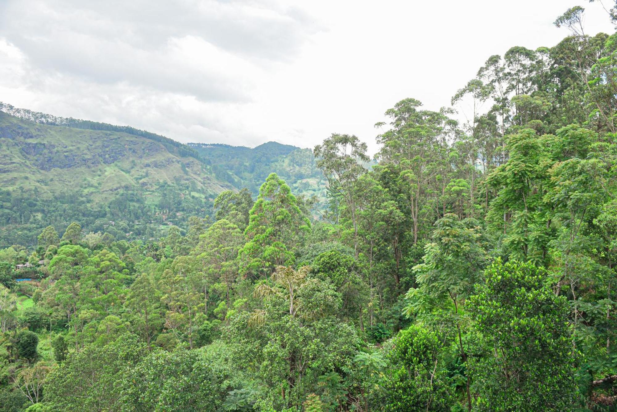 Tea Hills Ella Hotel ภายนอก รูปภาพ