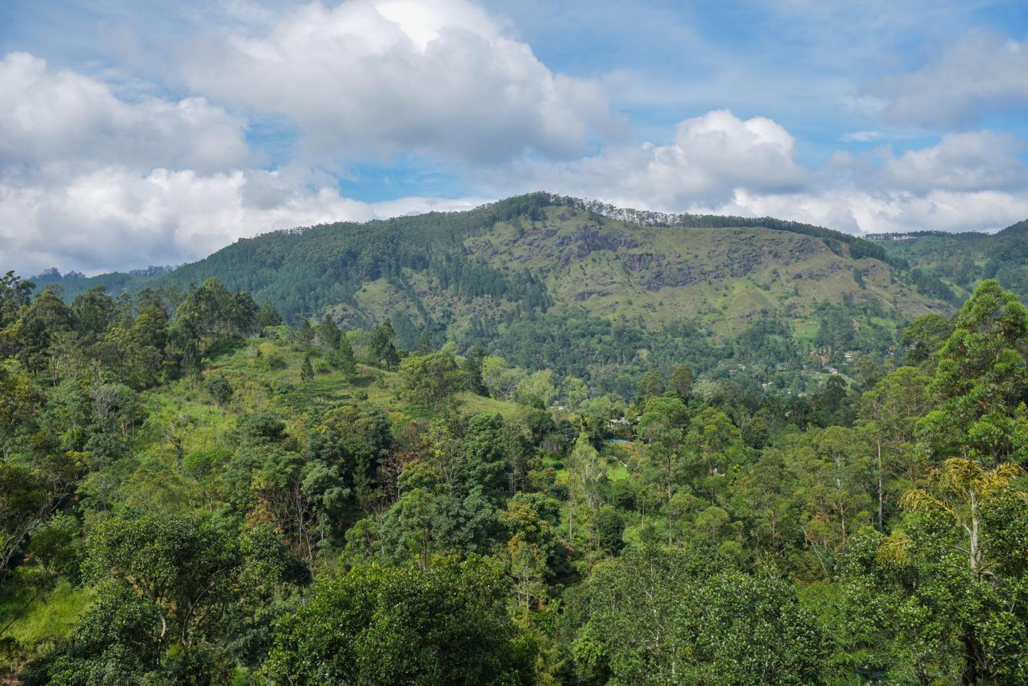 Tea Hills Ella Hotel ภายนอก รูปภาพ